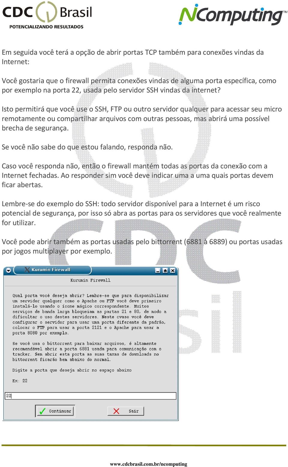 Isto permitirá que você use o SSH, FTP ou outro servidor qualquer para acessar seu micro remotamente ou compartilhar arquivos com outras pessoas, mas abrirá uma possível brecha de segurança.