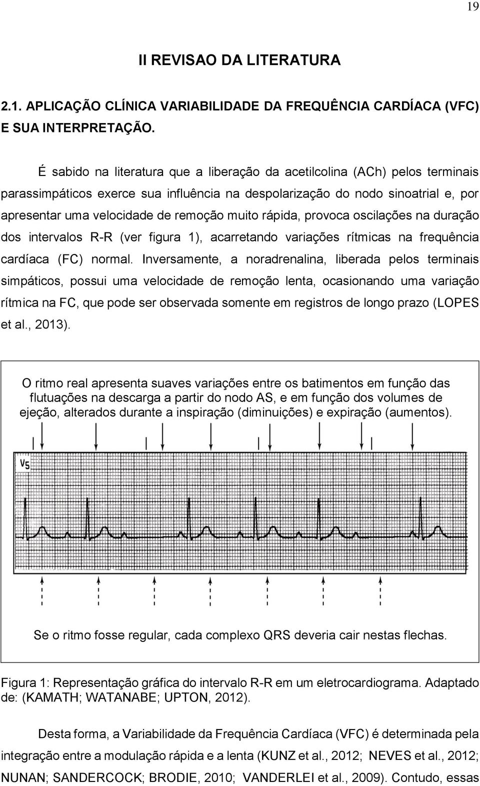 muito rápida, provoca oscilações na duração dos intervalos R-R (ver figura 1), acarretando variações rítmicas na frequência cardíaca (FC) normal.