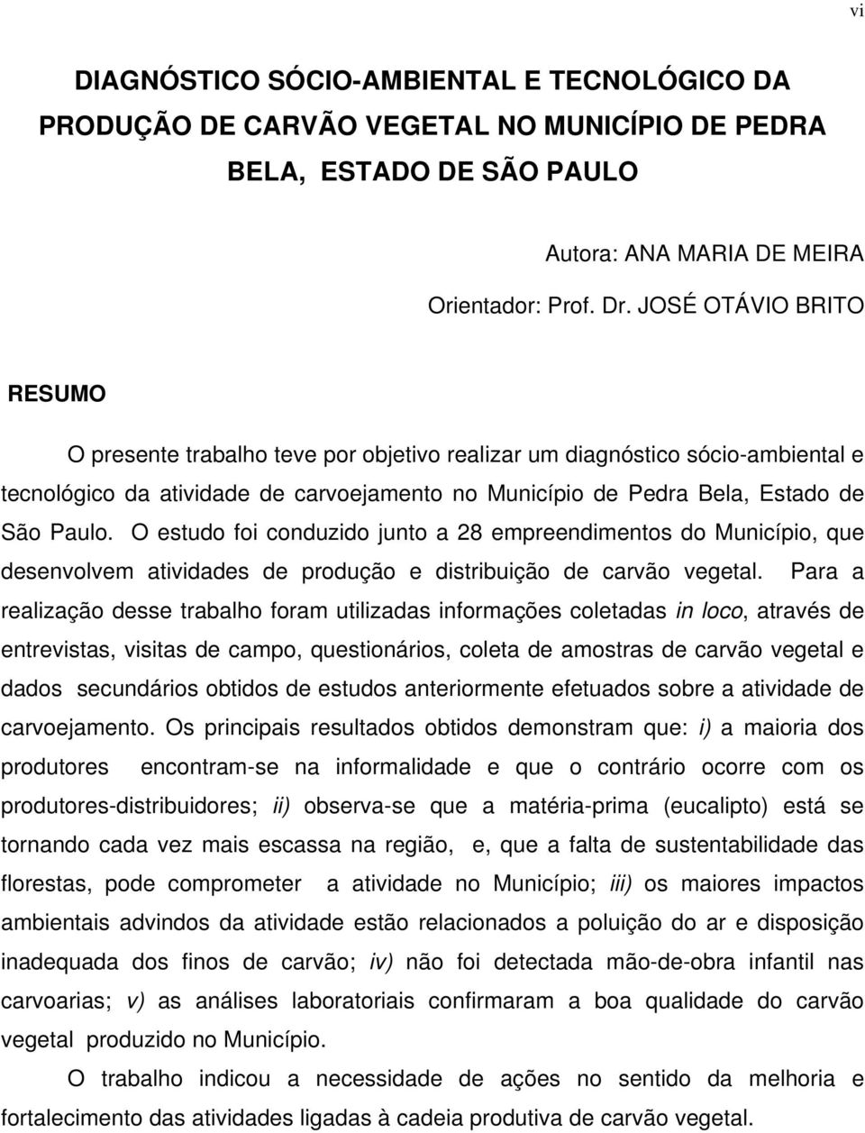 O estudo foi conduzido junto a 28 empreendimentos do Município, que desenvolvem atividades de produção e distribuição de carvão vegetal.