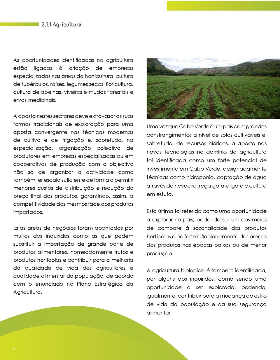 A aposta nestes sectores deve extravasar as suas formas tradicionais de exploração para uma aposta convergente nas técnicas modernas de cultivo e de irrigação e, sobretudo, na especialização,