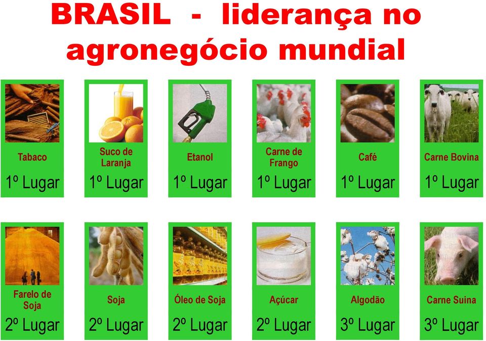 Lugar Carne Bovina 1º Lugar Farelo de Soja 2º Lugar Soja 2º Lugar