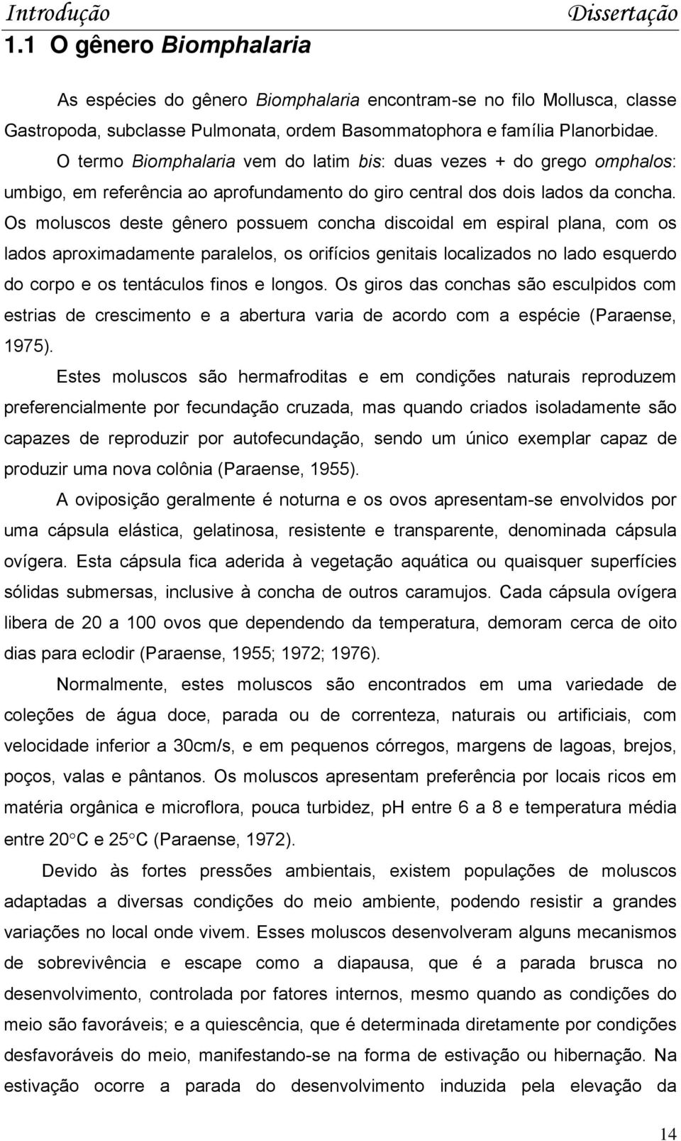 Os moluscos deste gênero possuem concha discoidal em espiral plana, com os lados aproximadamente paralelos, os orifícios genitais localizados no lado esquerdo do corpo e os tentáculos finos e longos.