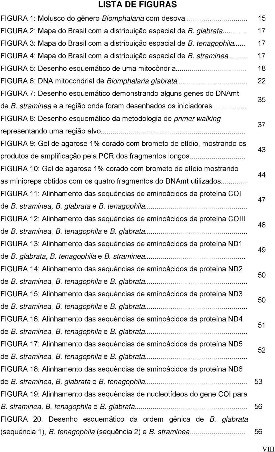 .. 17 FIGURA 5: Desenho esquemático de uma mitocôndria... 18 FIGURA 6: DNA mitocondrial de Biomphalaria glabrata... 22 FIGURA 7: Desenho esquemático demonstrando alguns genes do DNAmt de B.