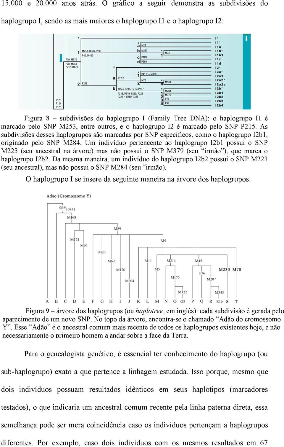 pelo SNP M253, entre outros, e o haplogrupo I2 é marcado pelo SNP P215. As subdivisões desses haplogrupos são marcadas por SNP específicos, como o haplogrupo I2b1, originado pelo SNP M284.