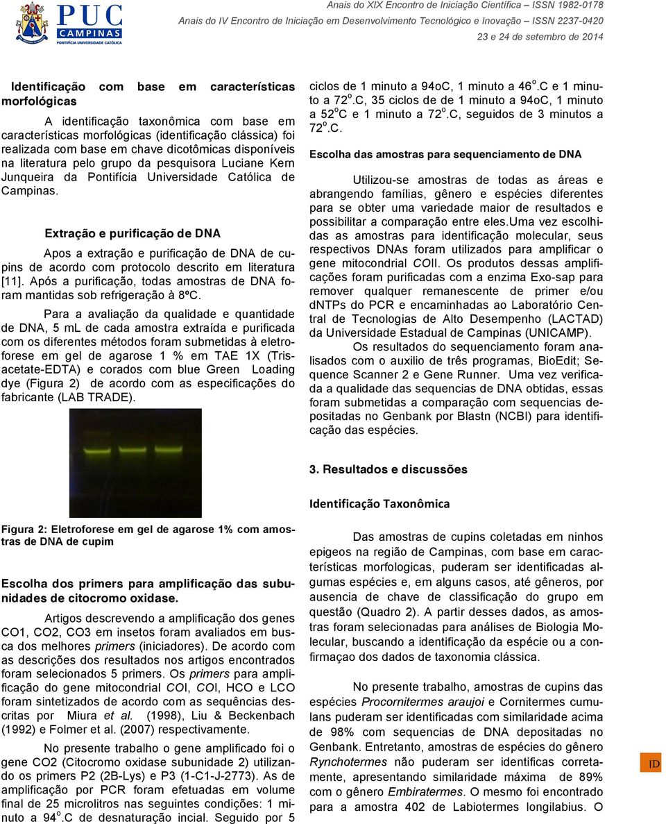 Extração e purificação de DNA Apos a extração e purificação de DNA de cupins de acordo com protocolo descrito em literatura [11].