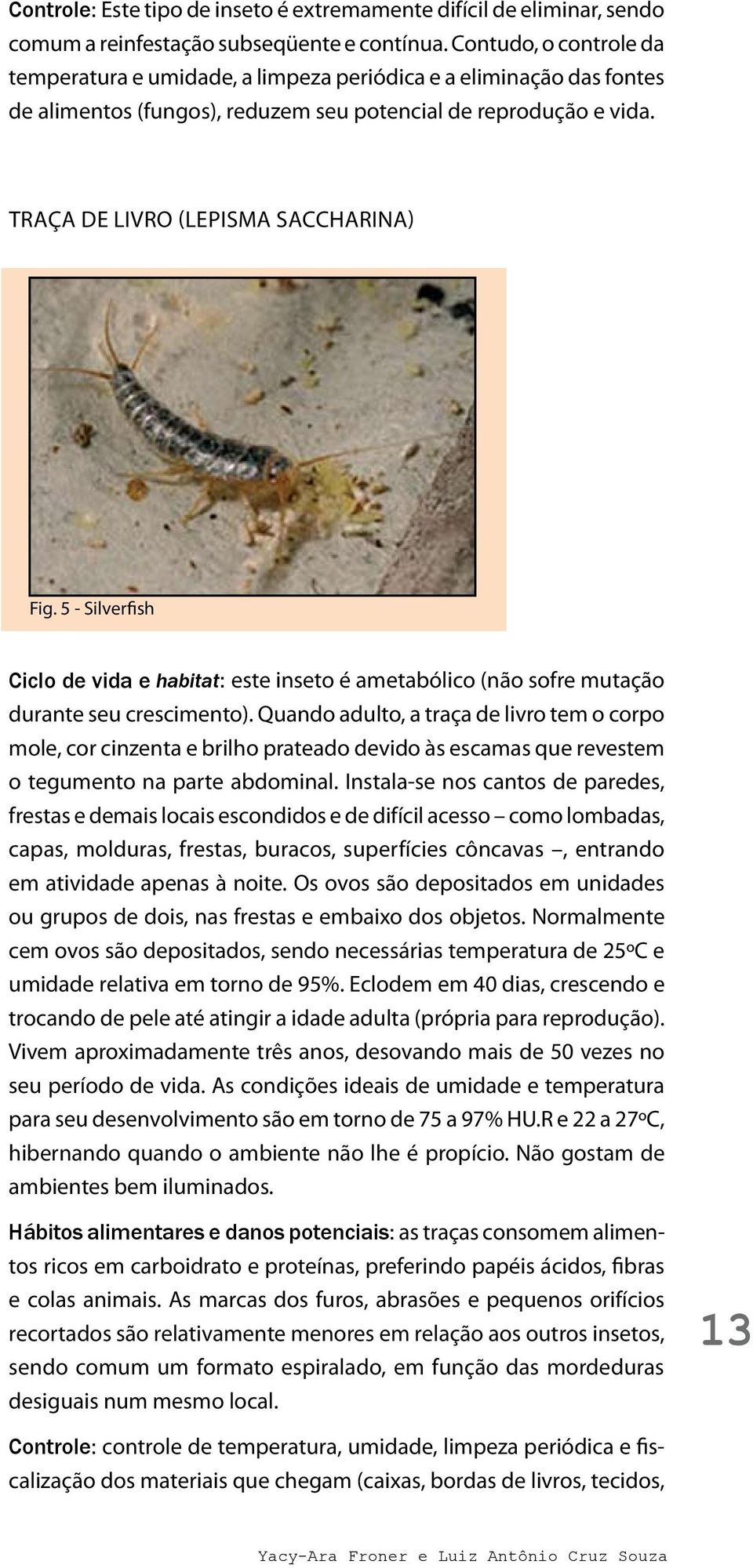 5 - Silverfish Ciclo de vida e habitat: este inseto é ametabólico (não sofre mutação durante seu crescimento).