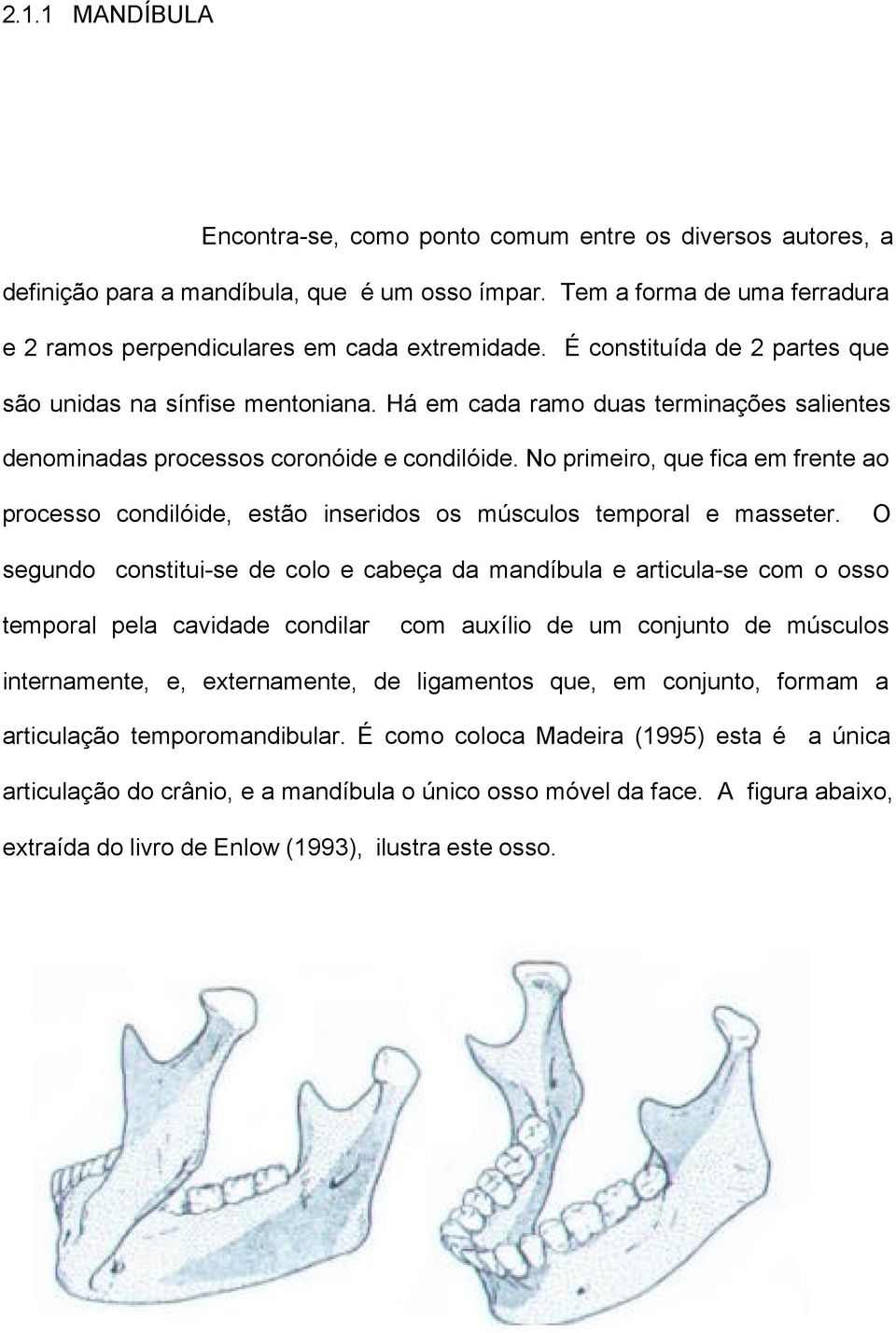 No primeiro, que fica em frente ao processo condilóide, estão inseridos os músculos temporal e masseter.