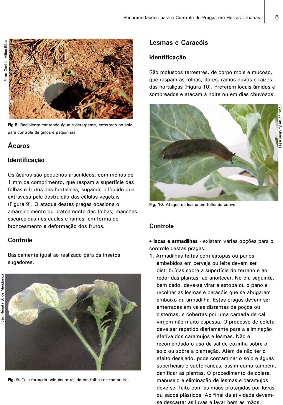 Preferem locais úmidos e sombreados e atacam à noite ou em dias chuvosos. Fig 8. Recipiente contendo água e detergente, enterrado no solo para controle de grilos e paquinhas. Ácaros Foto: Jorge A.