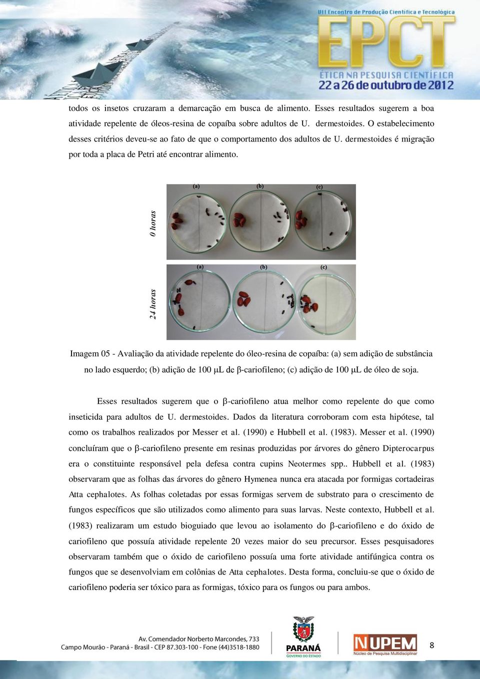 Imagem 05 - Avaliação da atividade repelente do óleo-resina de copaíba: (a) sem adição de substância no lado esquerdo; (b) adição de 100 L de β-cariofileno; (c) adição de 100 L de óleo de soja.