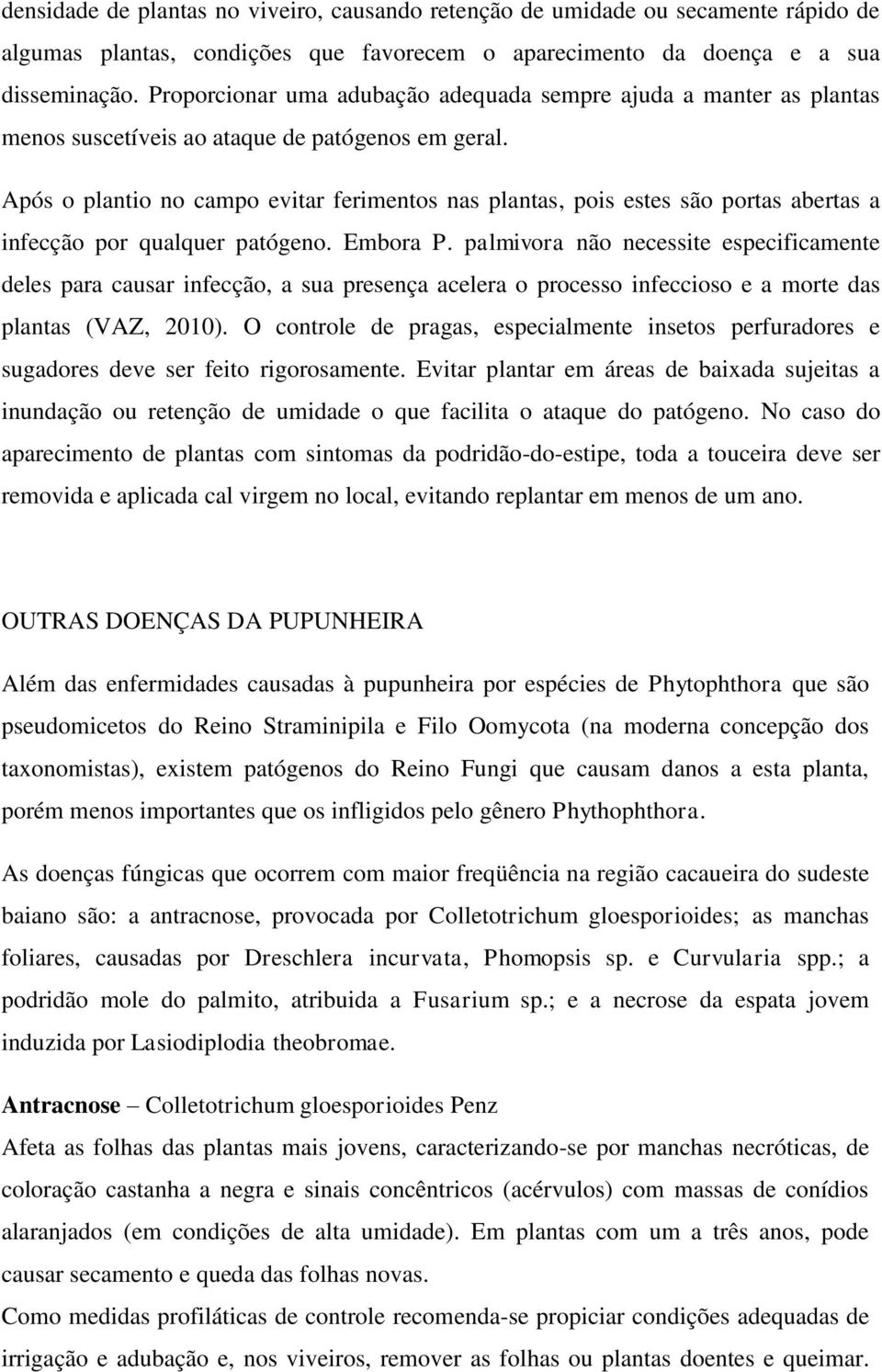 Após o plantio no campo evitar ferimentos nas plantas, pois estes são portas abertas a infecção por qualquer patógeno. Embora P.