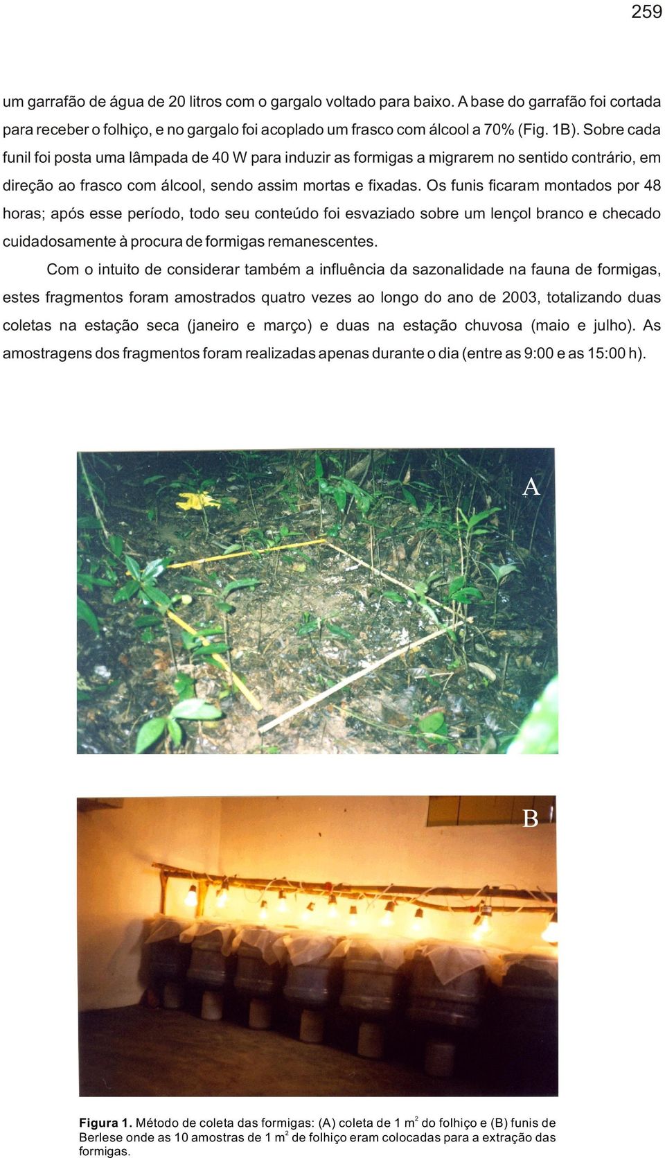 Os funis ficaram montados por 48 horas; após esse período, todo seu conteúdo foi esvaziado sobre um lençol branco e checado cuidadosamente à procura de formigas remanescentes.