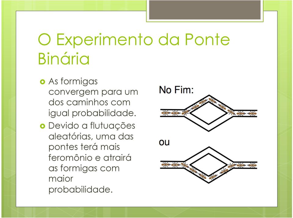 Devido a flutuações aleatórias, uma das pontes terá