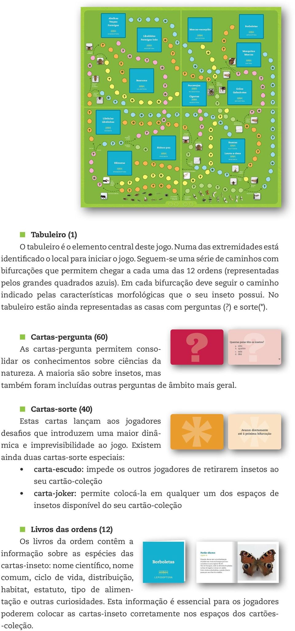 abdómen Cigarras ORTHOPTERA HOMOPTERA Libélulas Libelinhas Nervuras das asas formam uma rede Asas com poucas nervuras O D O N ATA Boca com mandíbulas Sem semelhança a um pau Bico na boca Semelhante a