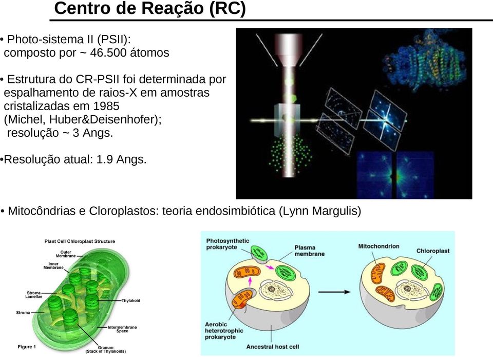 amostras cristalizadas em 1985 (Michel, Huber&Deisenhofer); resolução ~ 3 Angs.