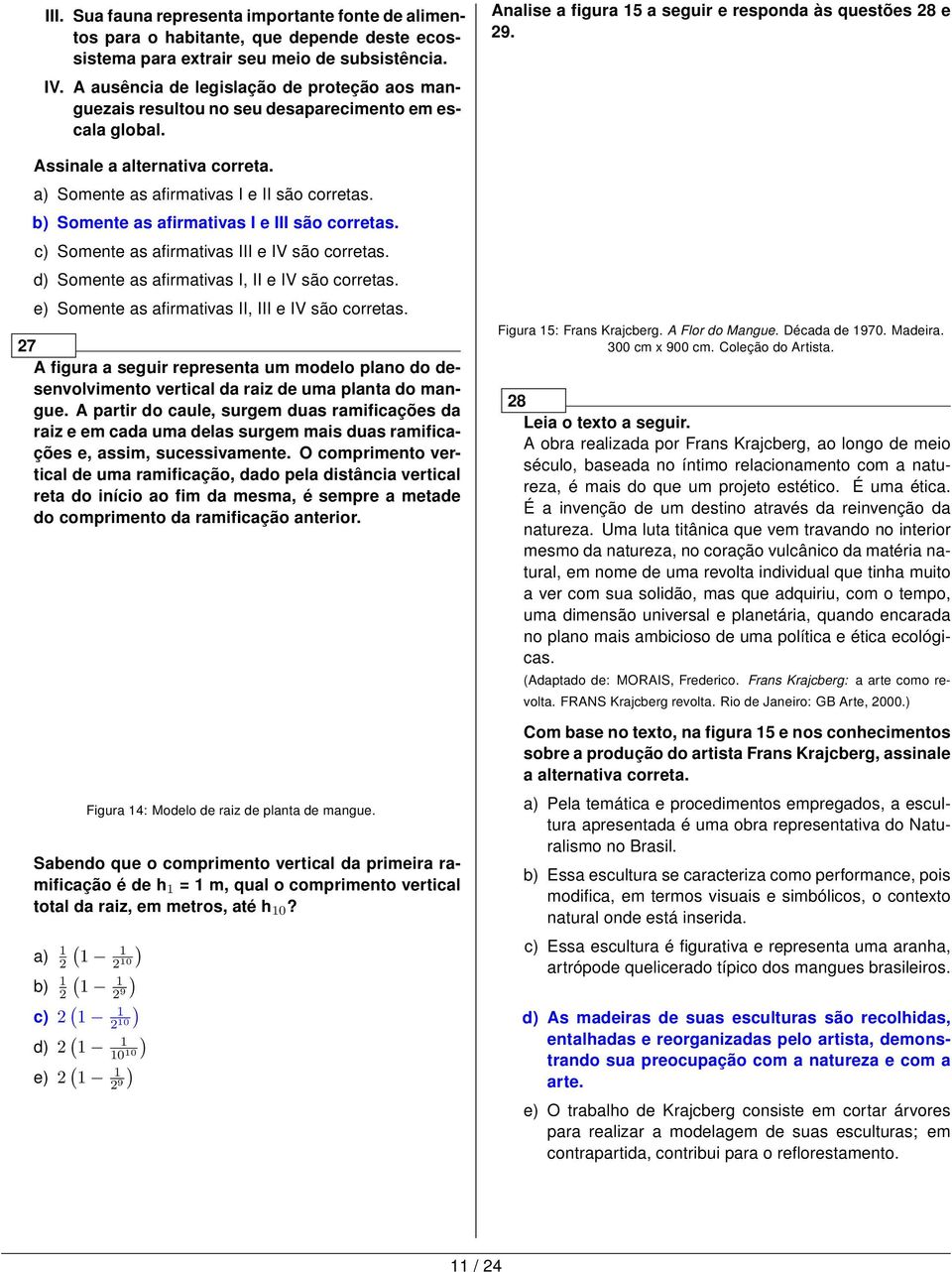 27 A figura a seguir representa um modelo plano do desenvolvimento vertical da raiz de uma planta do mangue.