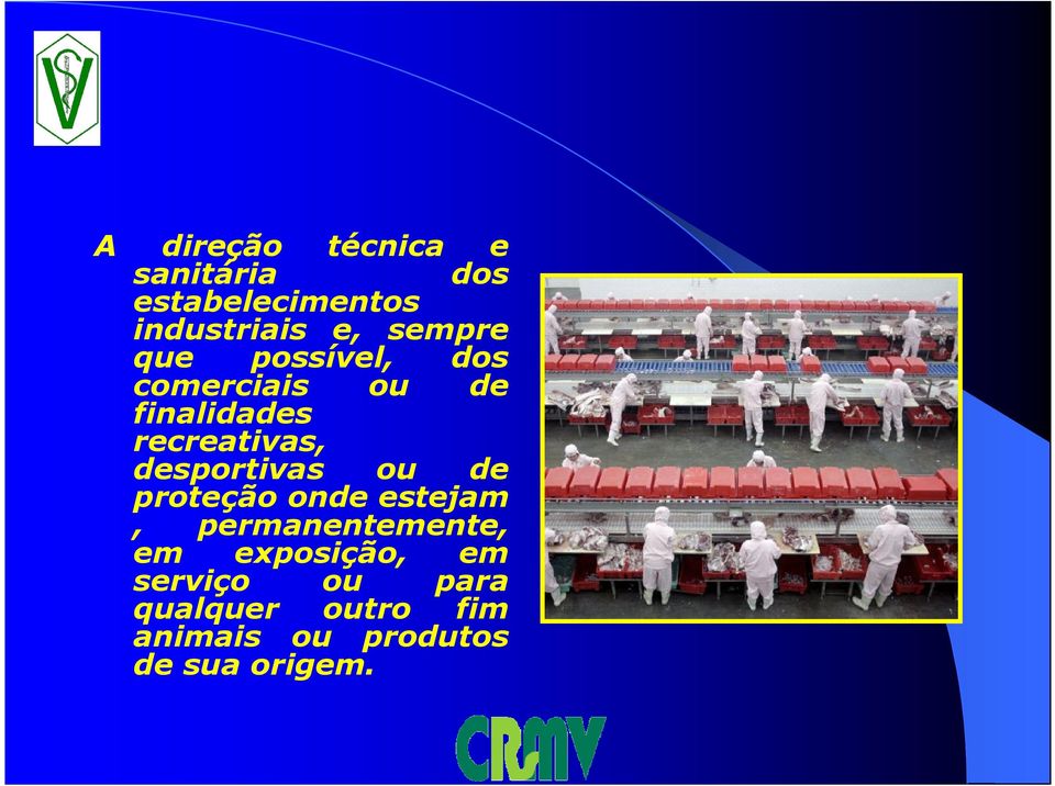 desportivas ou de proteção onde estejam, permanentemente, em