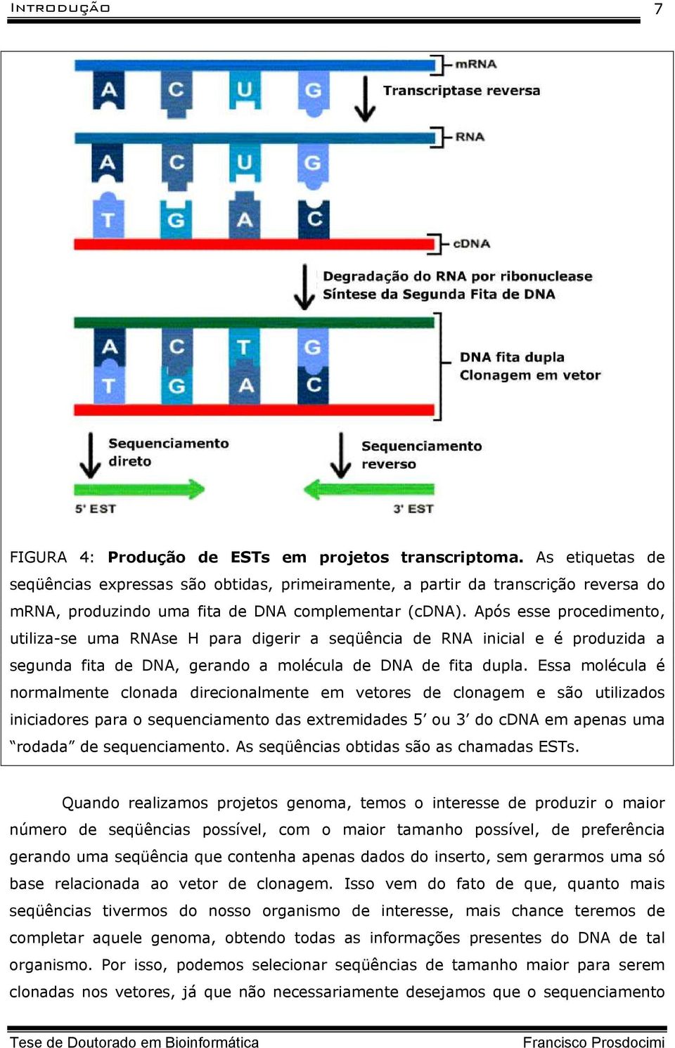 Após esse procedimento, utiliza-se uma RNAse H para digerir a seqüência de RNA inicial e é produzida a segunda fita de DNA, gerando a molécula de DNA de fita dupla.