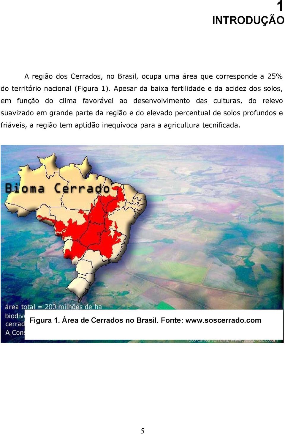 culturas, do relevo suavizado em grande parte da região e do elevado percentual de solos profundos e friáveis, a