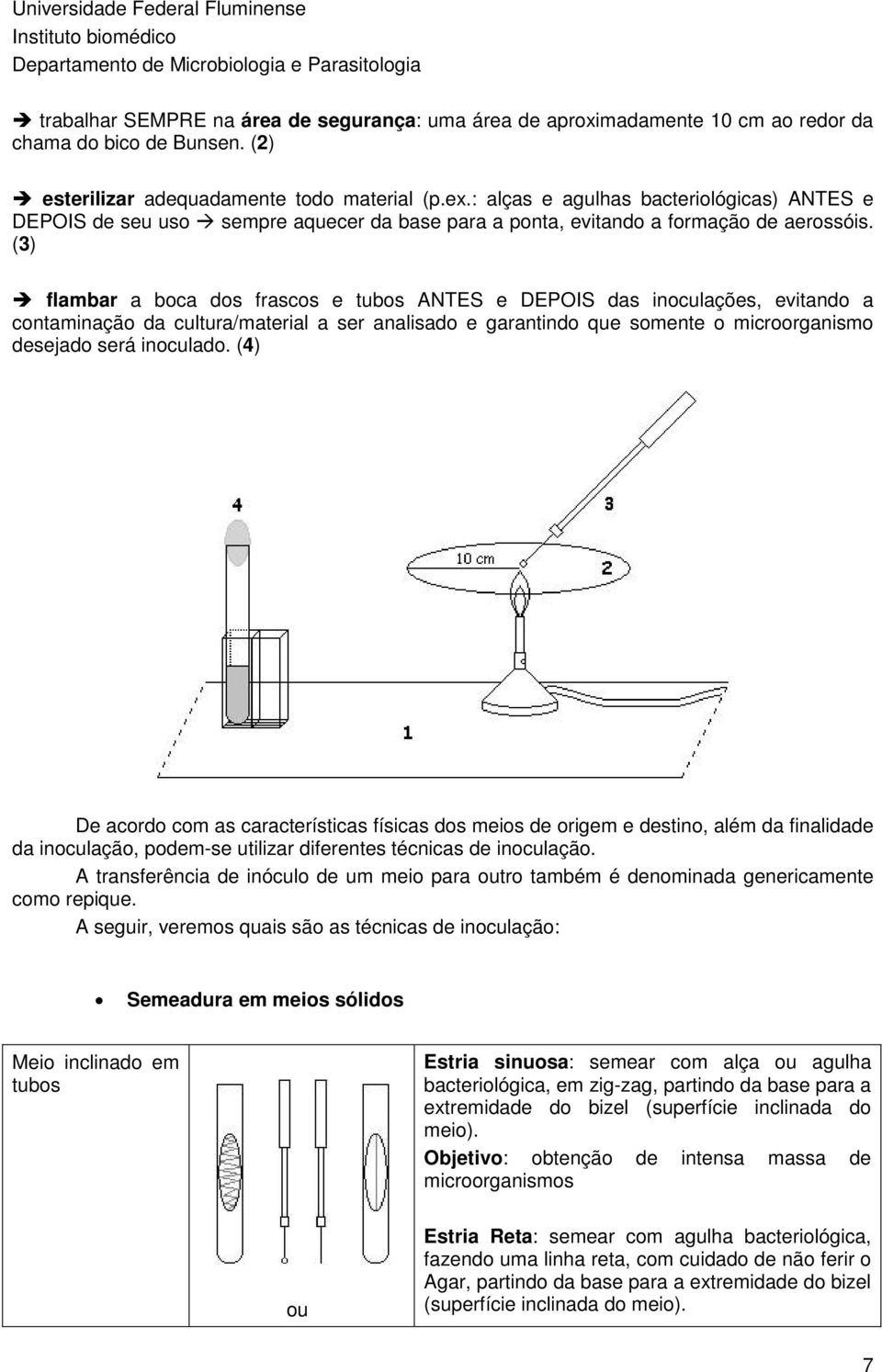 (3) è flambar a boca dos frascos e tubos ANTES e DEPOIS das inoculações, evitando a contaminação da cultura/material a ser analisado e garantindo que somente o microorganismo desejado será inoculado.