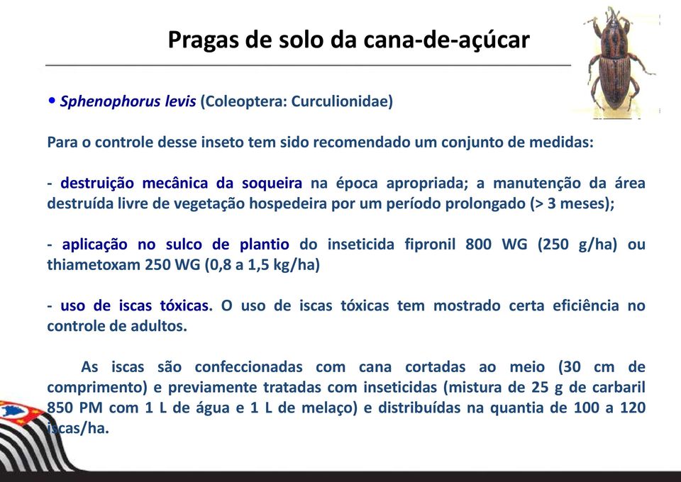 g/ha) ou thiametoxam 250 WG (0,8 a 1,5 kg/ha) - uso de iscas tóxicas. O uso de iscas tóxicas tem mostrado certa eficiência no controle de adultos.