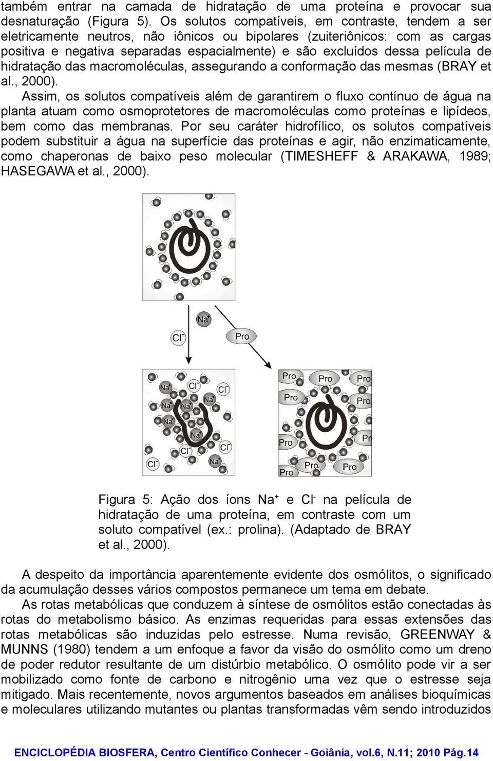 película de hidratação das macromoléculas, assegurando a conformação das mesmas (BRAY et al., 2000).