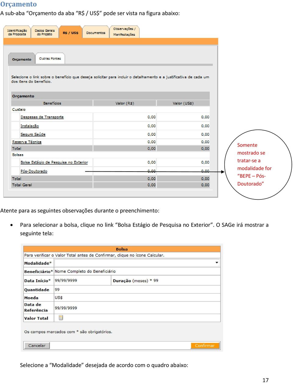 preenchimento: Para selecionar a bolsa, clique no link Bolsa Estágio de Pesquisa no Exterior.