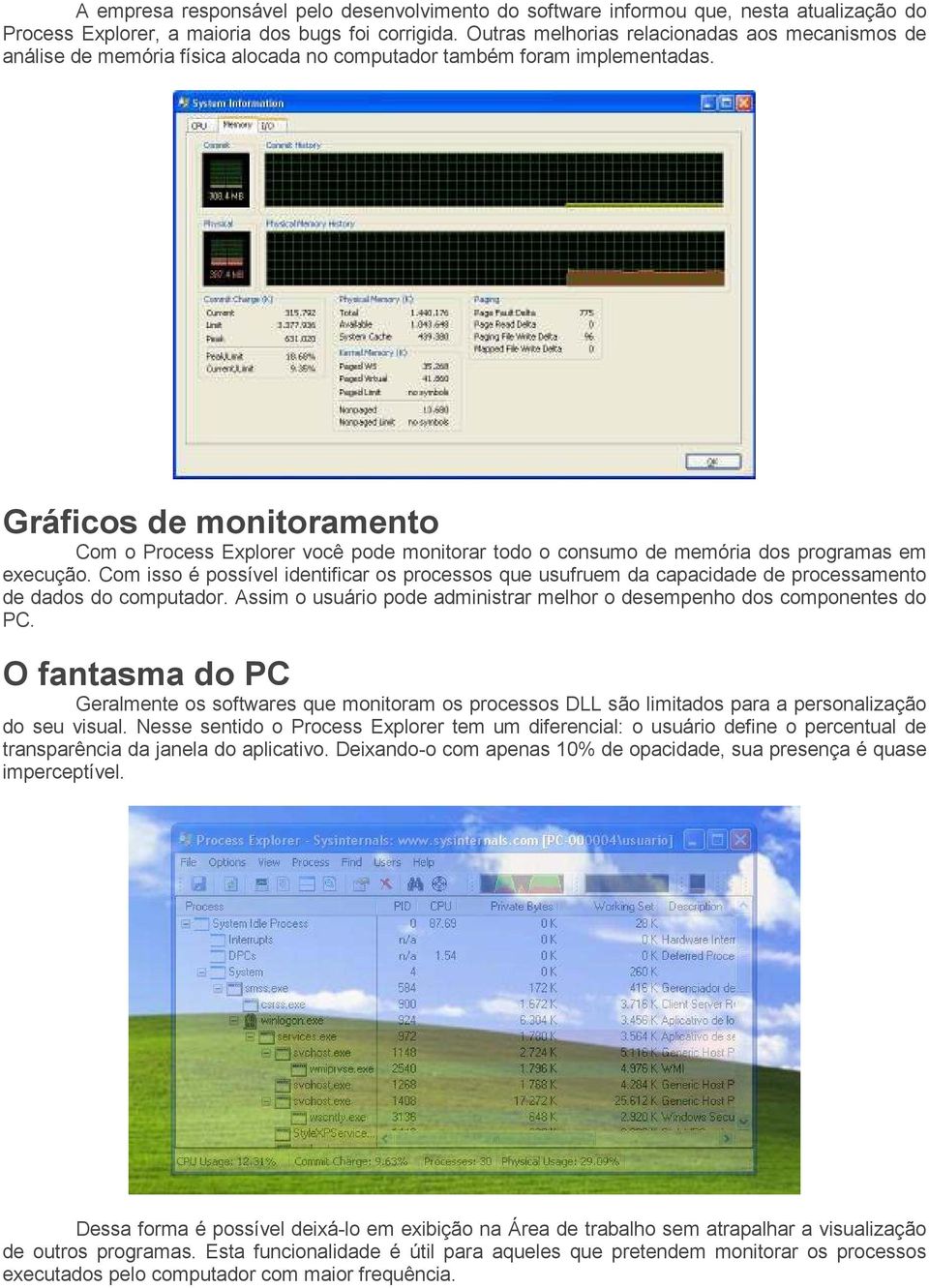 Gráficos de monitoramento Com o Process Explorer você pode monitorar todo o consumo de memória dos programas em execução.