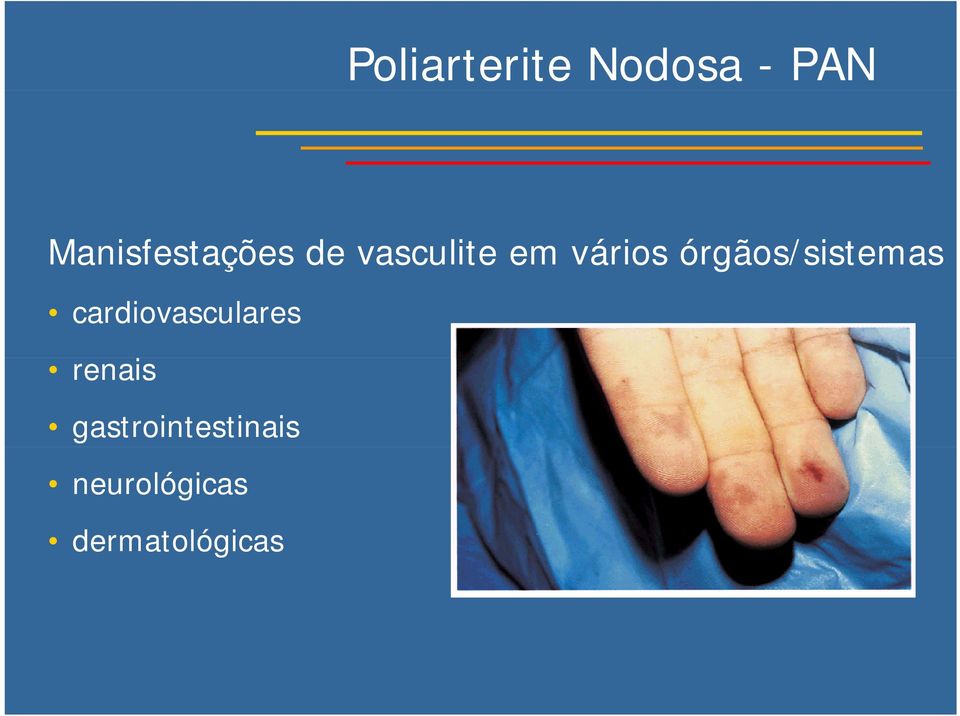 órgãos/sistemas cardiovasculares