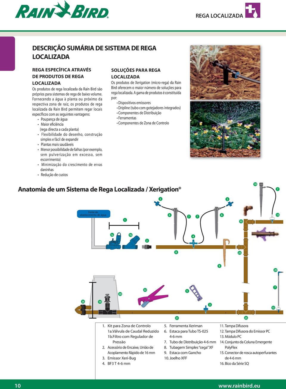 Fornecendo a água à planta ou próximo da respectiva zona de raiz, os produtos de rega localizada da Rain Bird permitem regar locais específicos com as seguintes vantagens: Poupança de água Maior