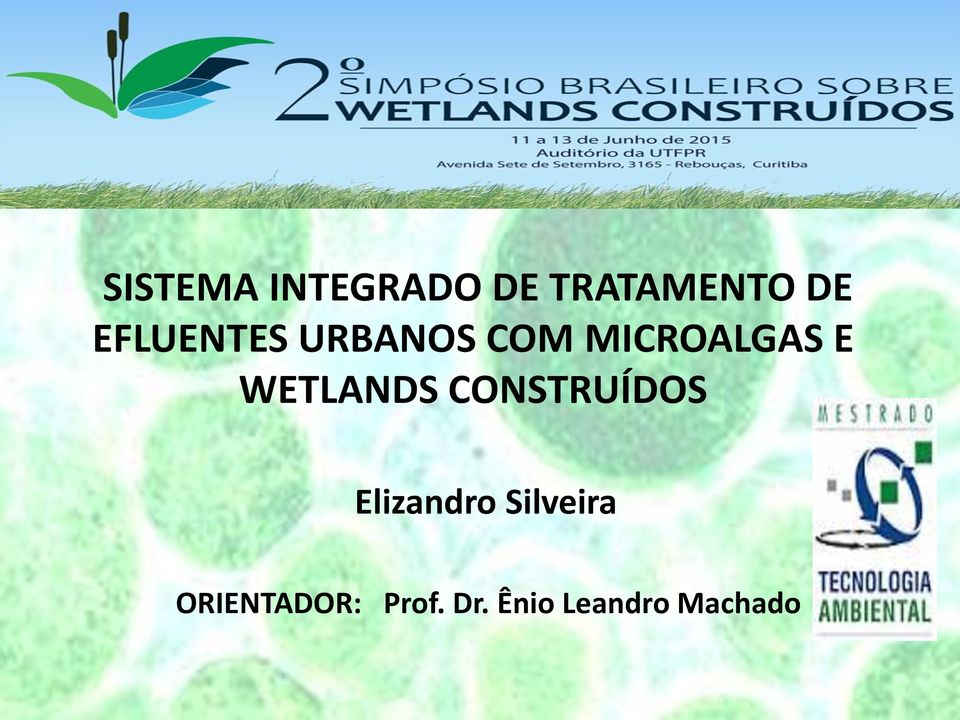 WETLANDS CONSTRUÍDOS Elizandro