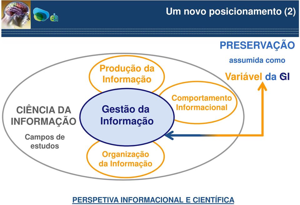 Organização da Informação Comportamento Informacional