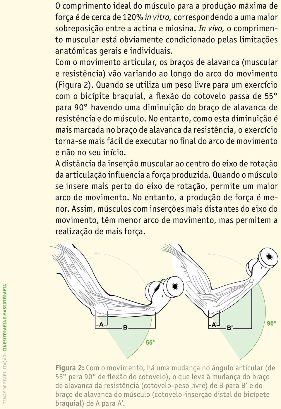 Com o movimento articular, os braços de alavanca (muscular e resistência) vão variando ao longo do arco do movimento (Figura 2).