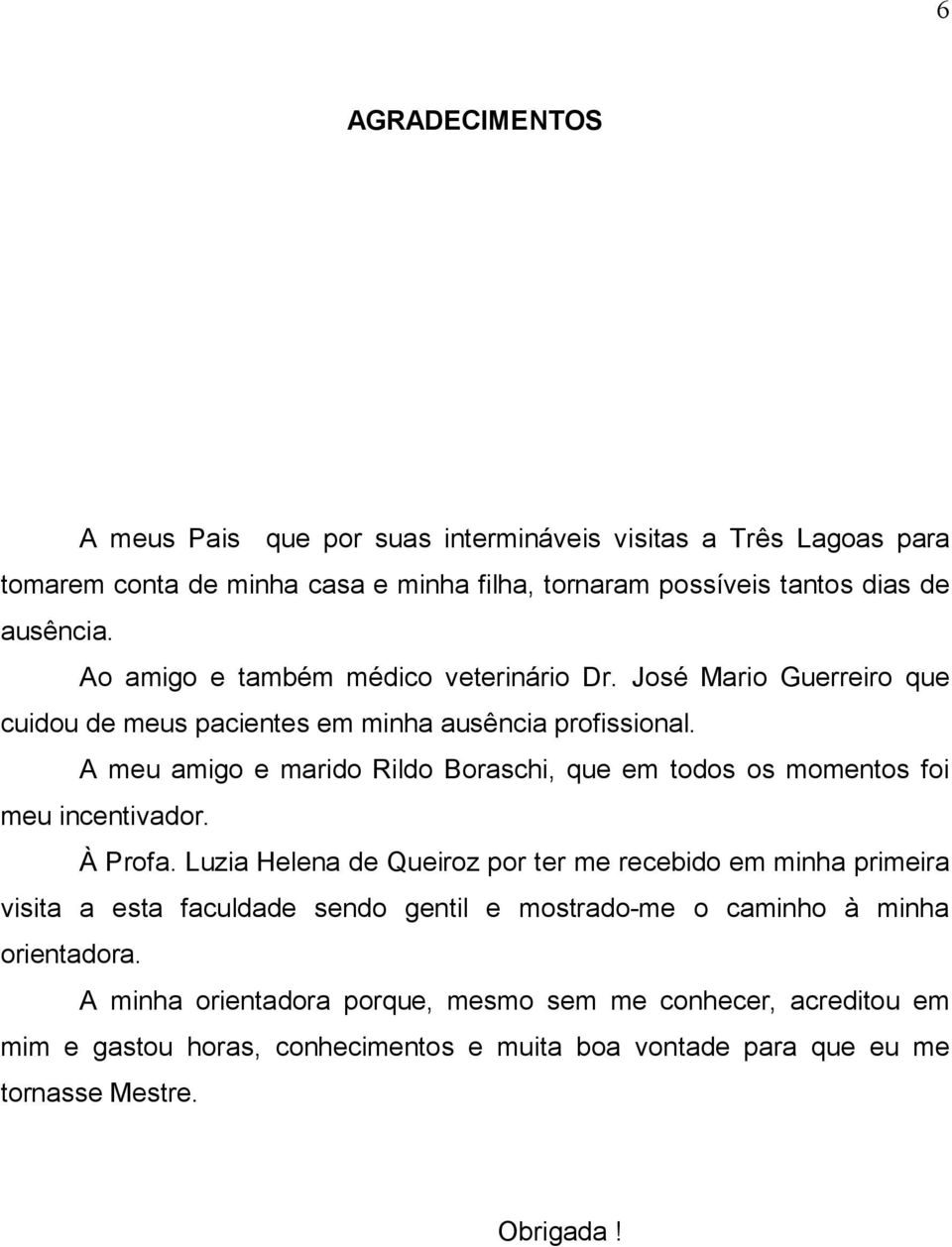 A meu amigo e marido Rildo Boraschi, que em todos os momentos foi meu incentivador. À Profa.