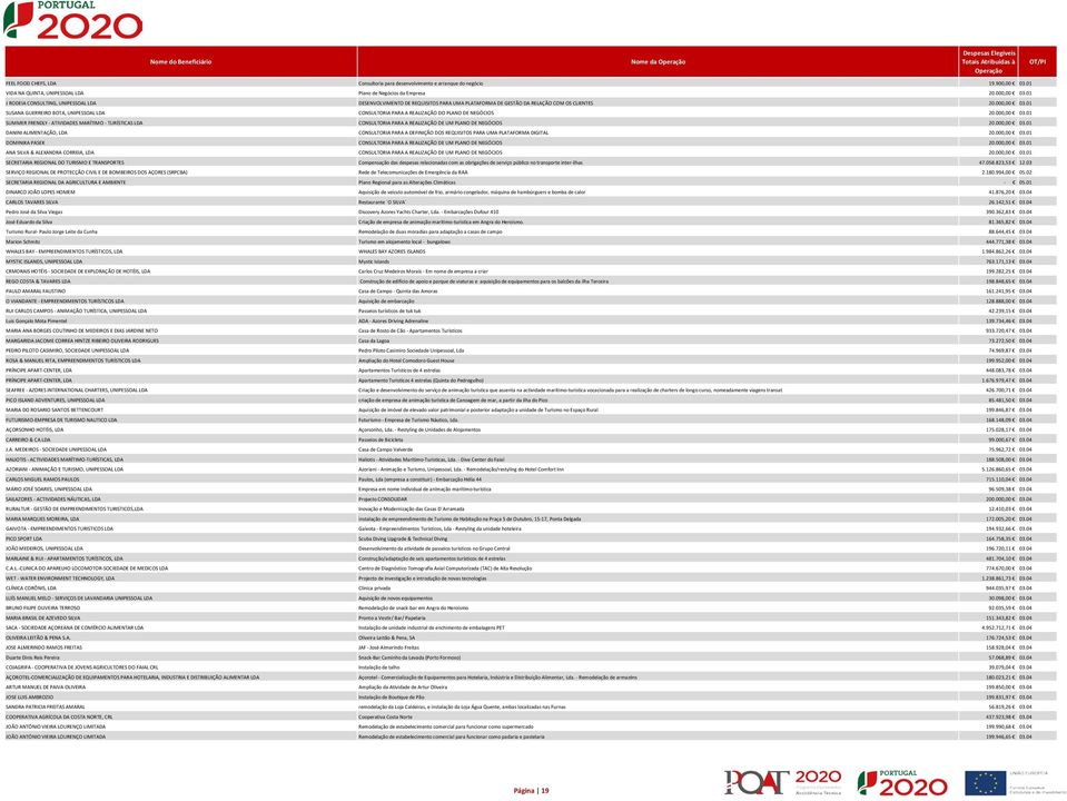 01 SUSANA GUERREIRO BOTA, UNIPESSOAL LDA CONSULTORIA PARA A REALIZAÇÃO DO PLANO DE NEGÓCIOS 20.000,00 03.