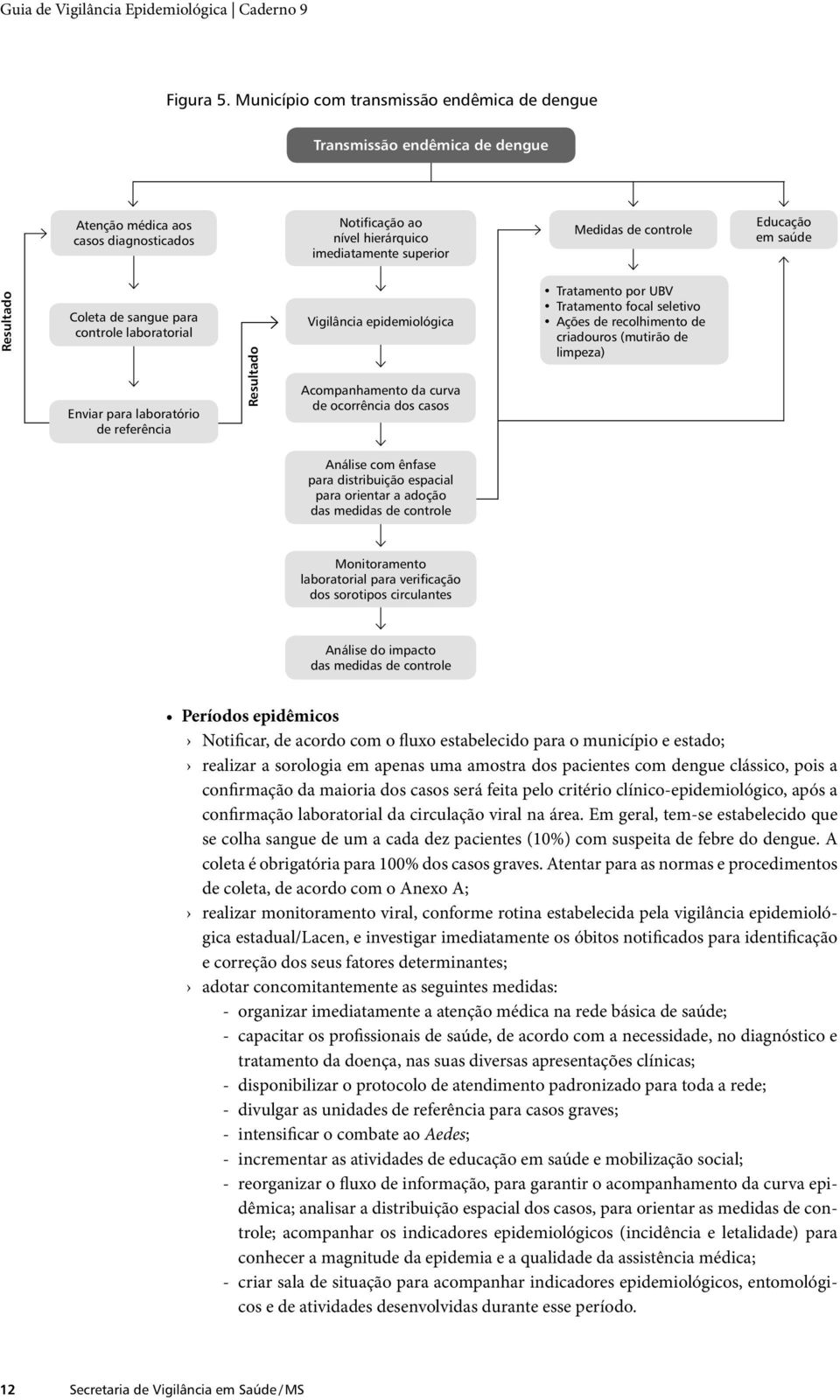 Educação em saúde Resultado Coleta de sangue para controle laboratorial Enviar para laboratório de referência Resultado Vigilância epidemiológica Acompanhamento da curva de ocorrência dos casos