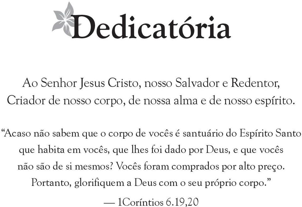 Acaso não sabem que o corpo de vocês é santuário do Espírito Santo que habita em vocês, que