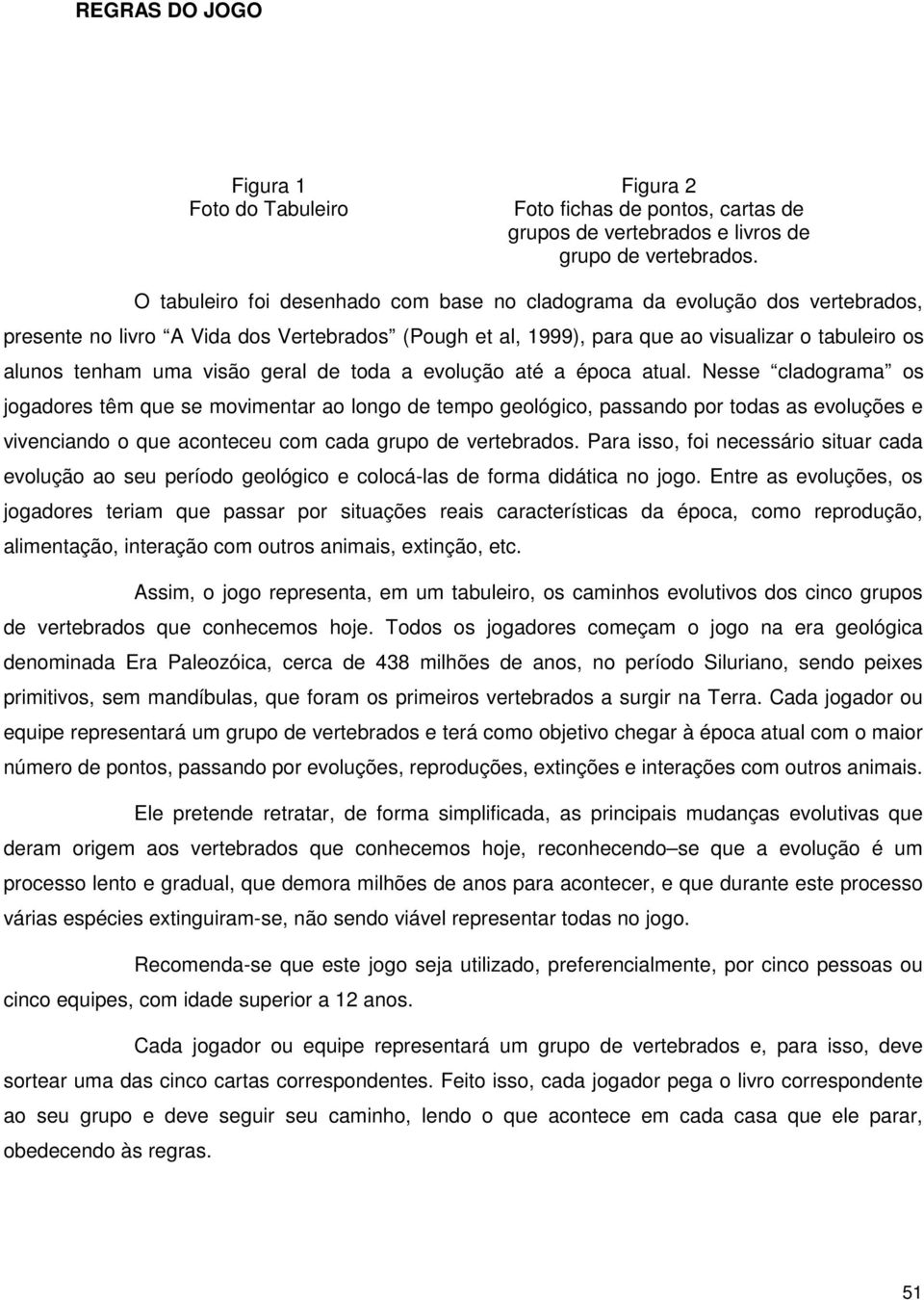 visão geral de toda a evolução até a época atual.