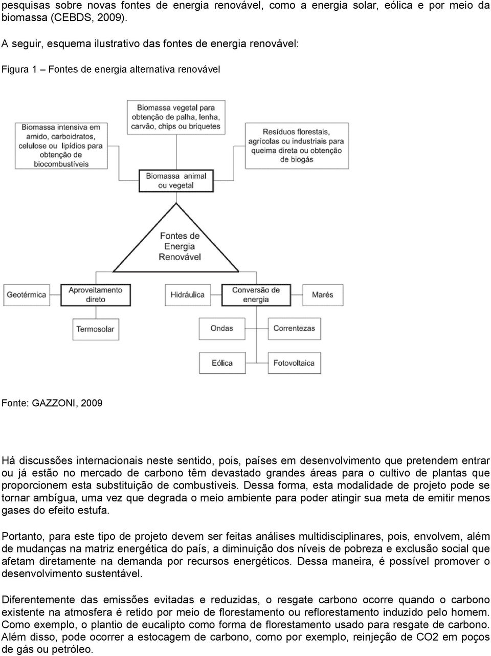 desenvolvimento que pretendem entrar ou já estão no mercado de carbono têm devastado grandes áreas para o cultivo de plantas que proporcionem esta substituição de combustíveis.