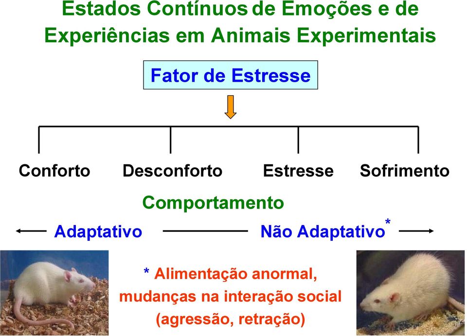 Sofrimento Comportamento Adaptativo Não Adaptativo * *