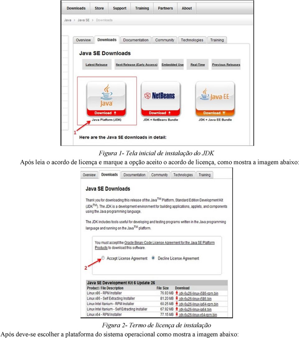 imagem abaixo: Figura 2 Termo de licença de instalação Após deve se