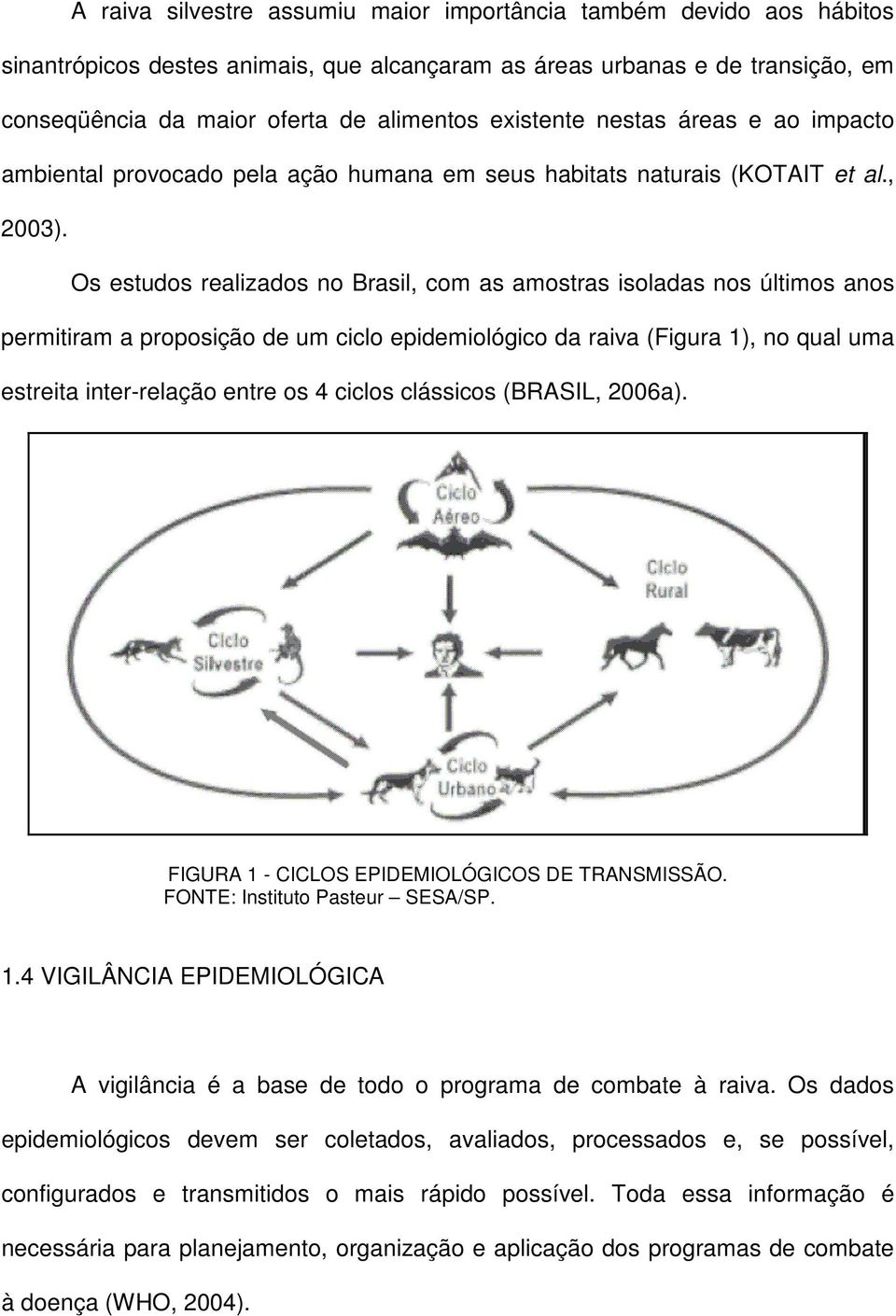 Os estudos realizados no Brasil, com as amostras isoladas nos últimos anos permitiram a proposição de um ciclo epidemiológico da raiva (Figura 1), no qual uma estreita inter-relação entre os 4 ciclos