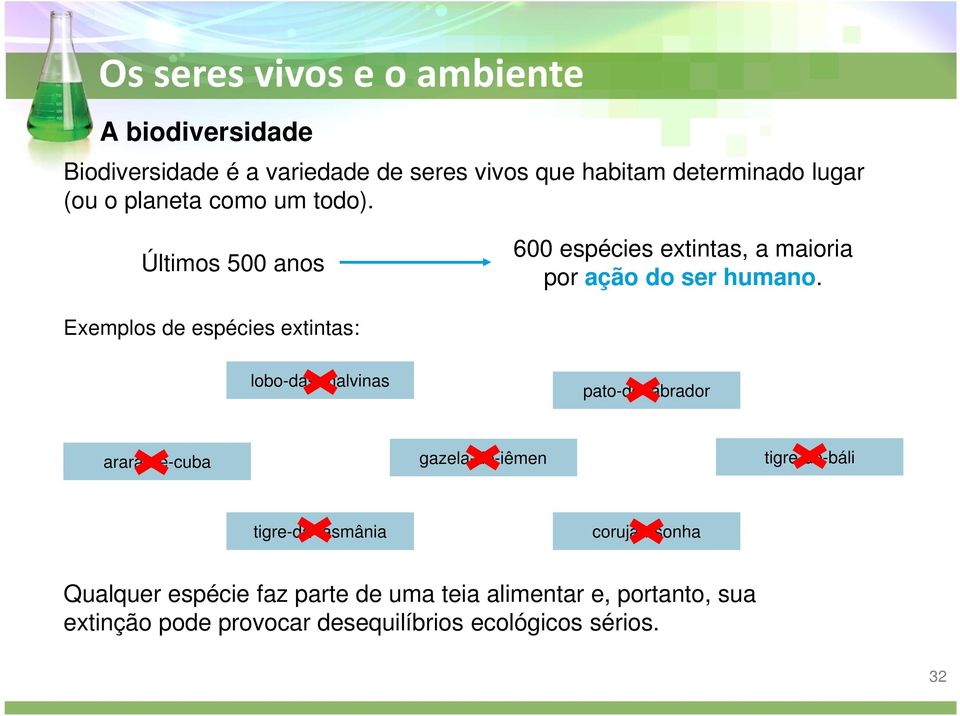 Exemplos de espécies extintas: lobo-das-malvinas pato-do-labrador arara-de-cuba gazela-do-iêmen tigre-de-báli