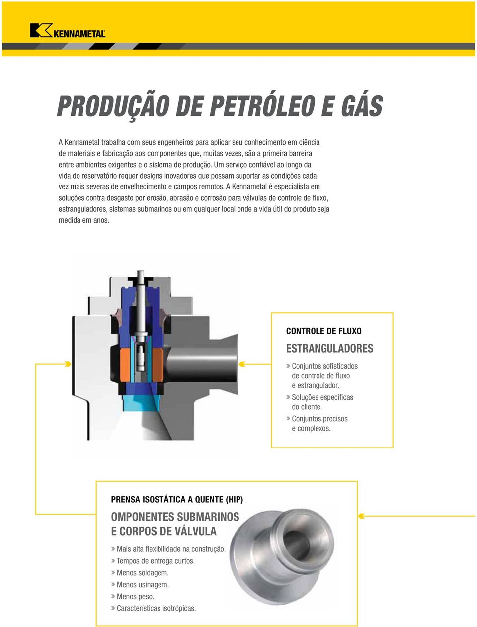 Um serviço confiável ao longo da vida do reservatório requer designs inovadores que possam suportar as condições cada vez mais severas de envelhecimento e campos remotos.