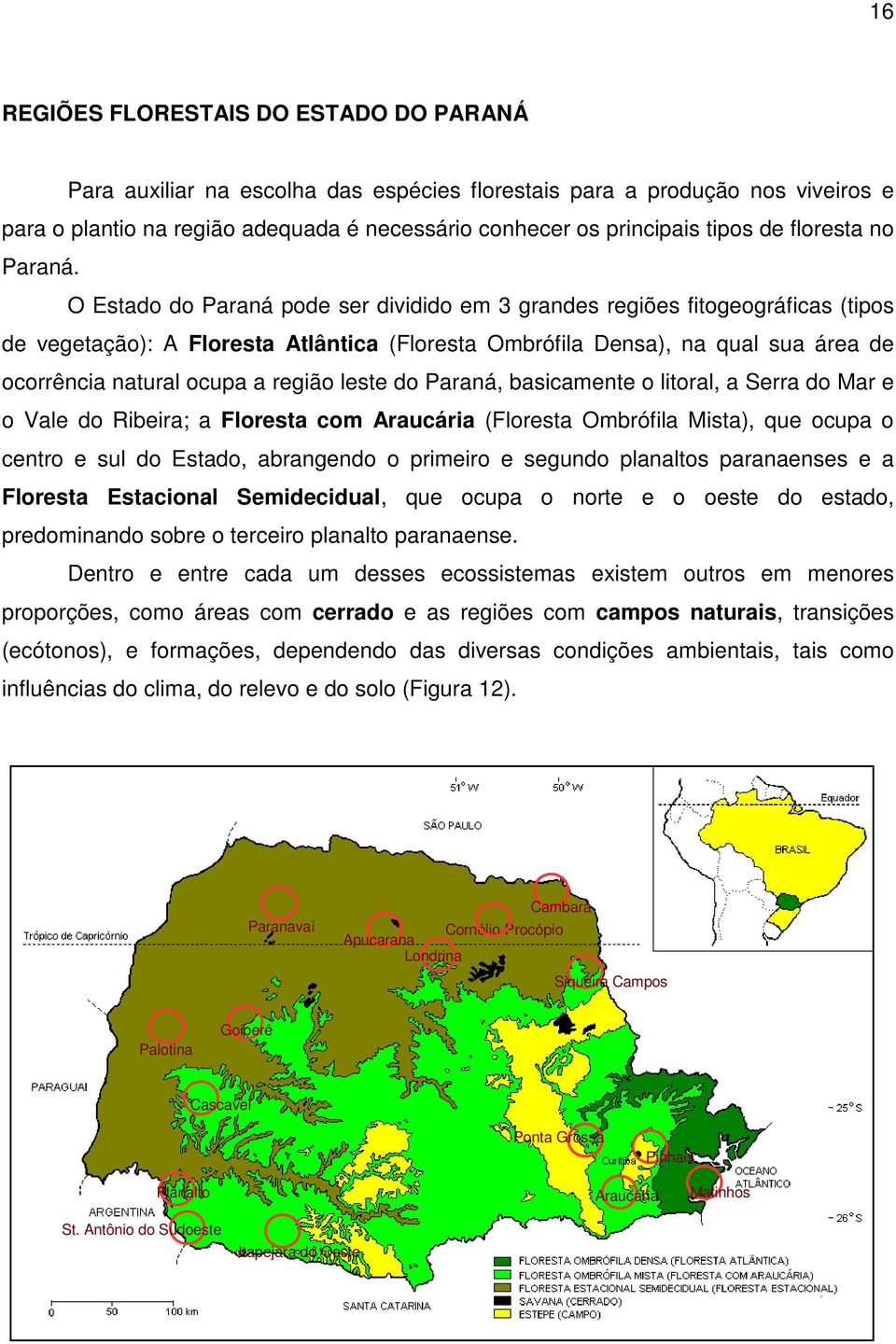 O Estado do Paraná pode ser dividido em 3 grandes regiões fitogeográficas (tipos de vegetação): A Floresta Atlântica (Floresta Ombrófila Densa), na qual sua área de ocorrência natural ocupa a região