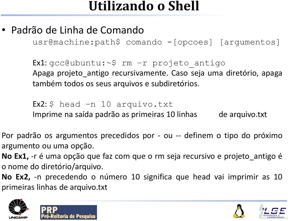 txt Imprime na saída padrão as primeiras 10 linhas de arquivo.