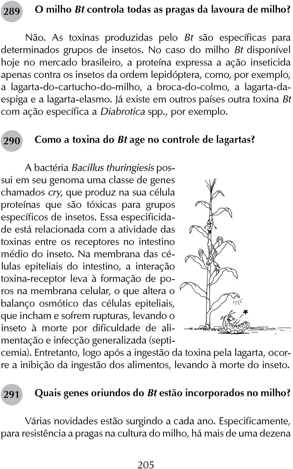 broca-do-colmo, a lagarta-daespiga e a lagarta-elasmo. Já existe em outros países outra toxina Bt com ação específica a Diabrotica spp., por exemplo.