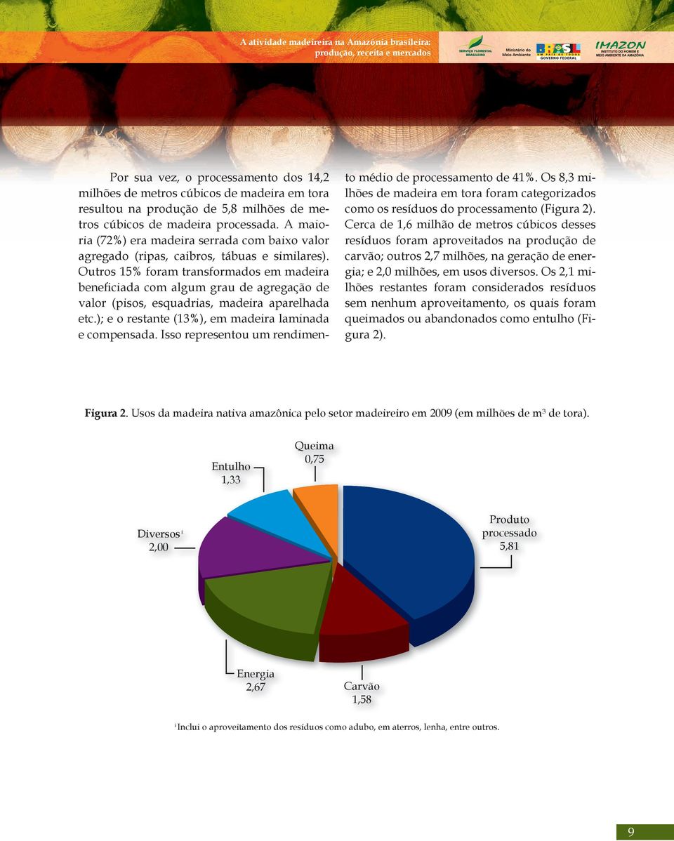 Outros 15% foram transformados em madeira beneficiada com algum grau de agregação de valor (pisos, esquadrias, madeira aparelhada etc.); e o restante (13%), em madeira laminada e compensada.