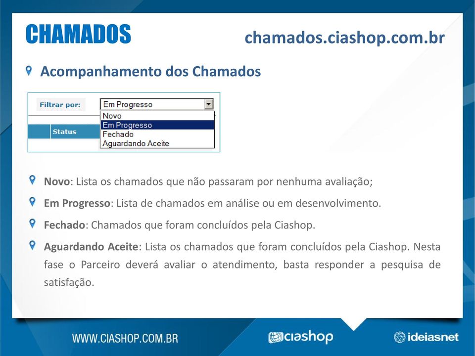 Progresso: Lista de chamados em análise ou em desenvolvimento.