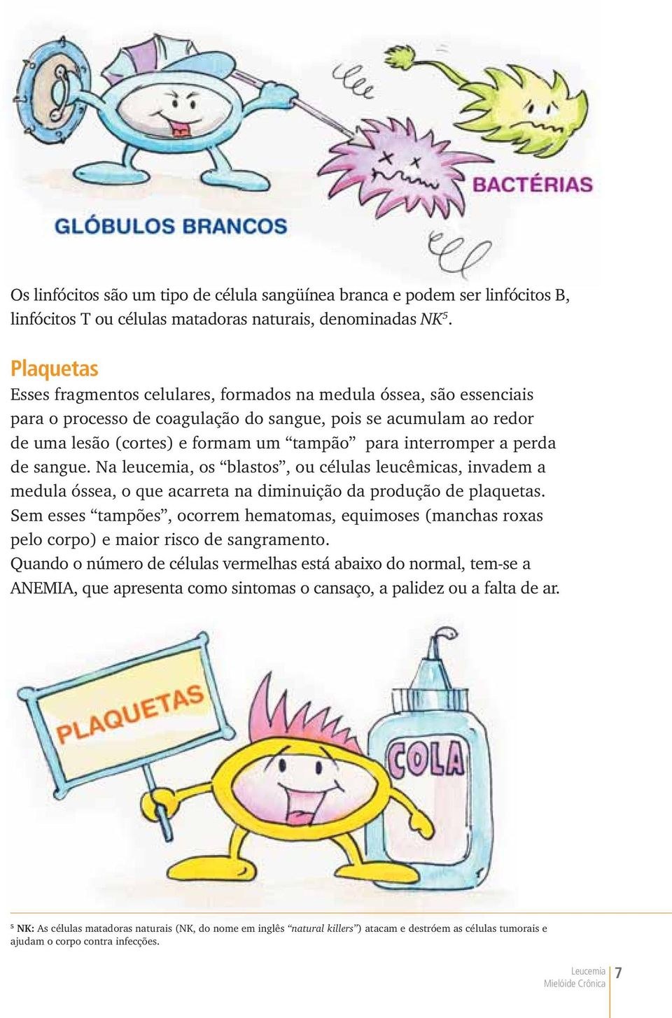 interromper a perda de sangue. Na leucemia, os blastos, ou células leucêmicas, invadem a medula óssea, o que acarreta na diminuição da produção de plaquetas.