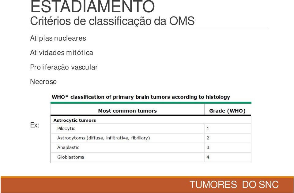 nucleares Atividades mitótica